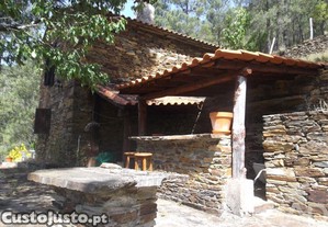 imagem_13