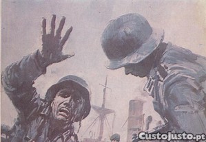 imagem_1