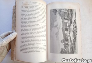 imagem_7