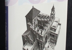 Livro O Espelho Mágico de M. C. Escher Bruno Ernst Taschen