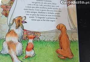 imagem_7