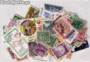 imagem_1