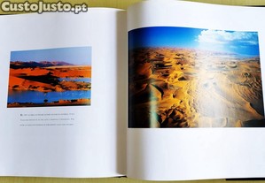 imagem_11