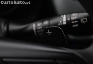 imagem_13