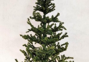 Árvore de Natal 1,83mt desmontável de 3 peças para vaso