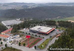 Terreno Para Construção De Moradia, Macieira Da...