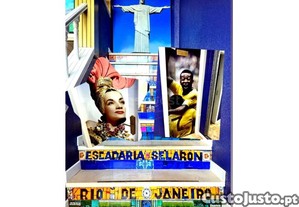 imagem_13