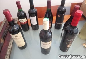 imagem_6