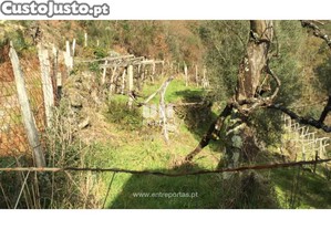 Terreno Arcos de Valdevez