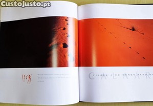 imagem_8