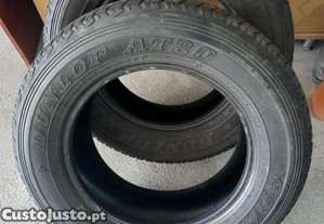 imagem_11