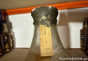 imagem_7