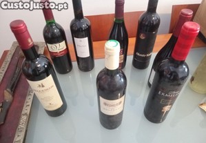 imagem_7
