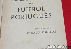 imagem_4