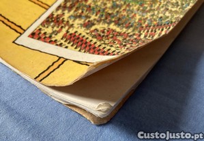 imagem_5