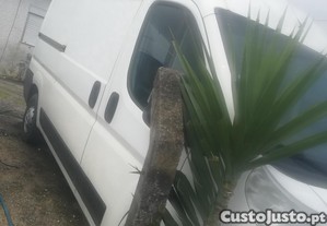 imagem_1