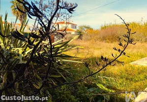 imagem_27