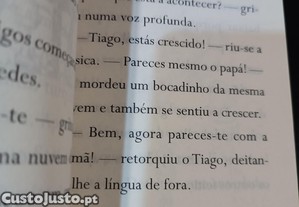imagem_6