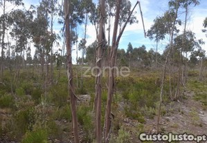 Terreno Rustico Com 12580M2