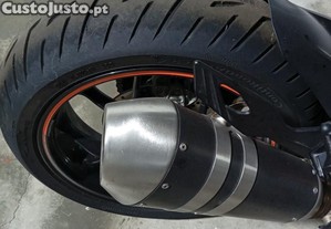 imagem_10