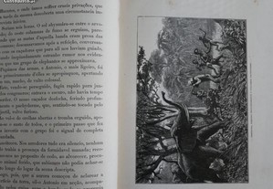 imagem_7