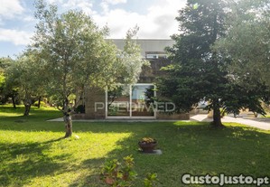 imagem_35