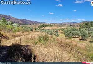 Quinta Do Cachão - Refúgio Agrícola No Vale Do Tua
