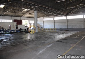 imagem_7