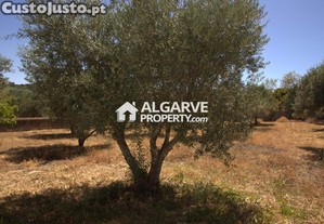 São Brás de Alportel - Terreno com projecto para construção de 2 moradias