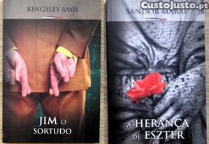 imagem_7
