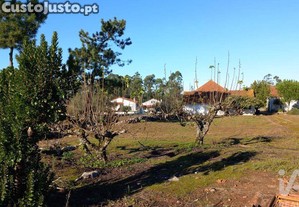 imagem_11