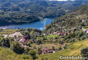 imagem_8