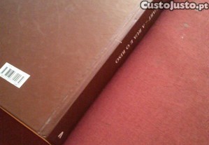 imagem_8