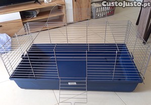 imagem_4