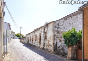 imagem_12
