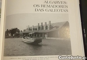 imagem_7