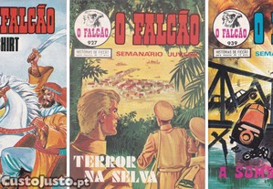 imagem_3