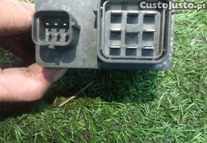 imagem_2