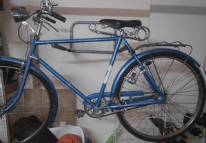 Bicicleta pasteleira grande completamente nova