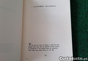imagem_6