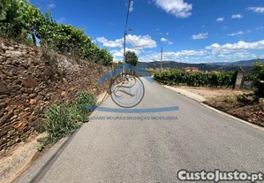 imagem_12