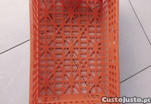 imagem_3
