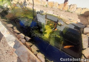 imagem_31