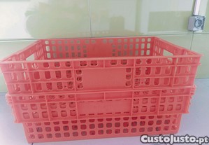 imagem_4