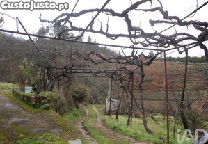 imagem_20