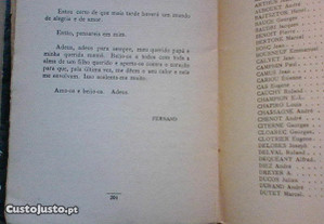 imagem_8
