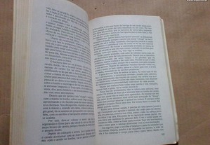 imagem_7