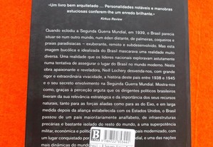 imagem_8