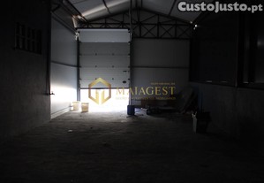 imagem_12
