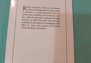 imagem_8